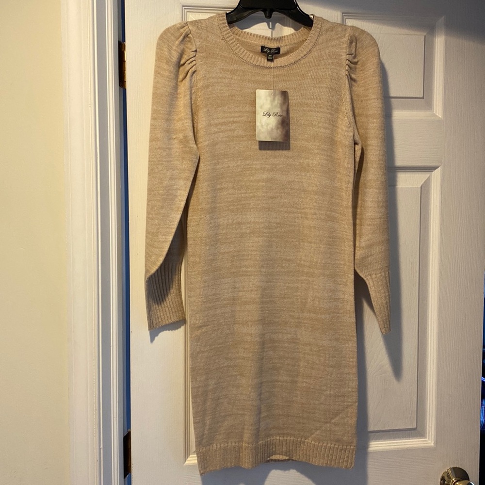 Lily Rose sweater dress size XS